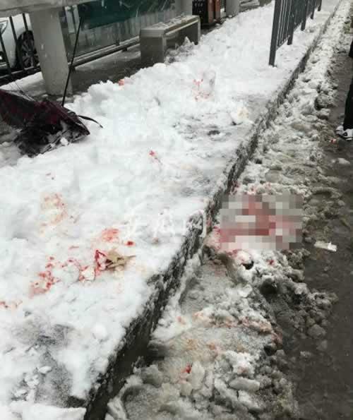合肥多个公交站被雪压垮致1死20多伤！网友质疑豆腐渣工程