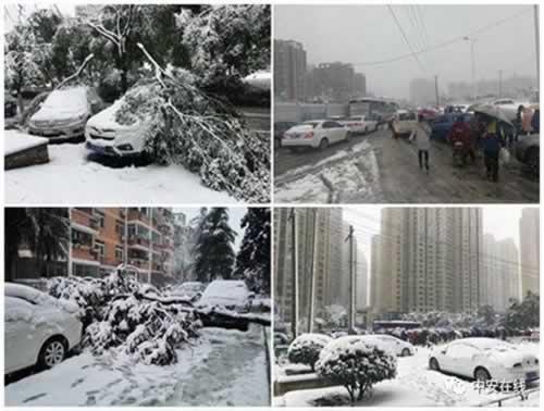 合肥多个公交站被雪压垮致1死20多伤!网友质疑豆腐渣工程
